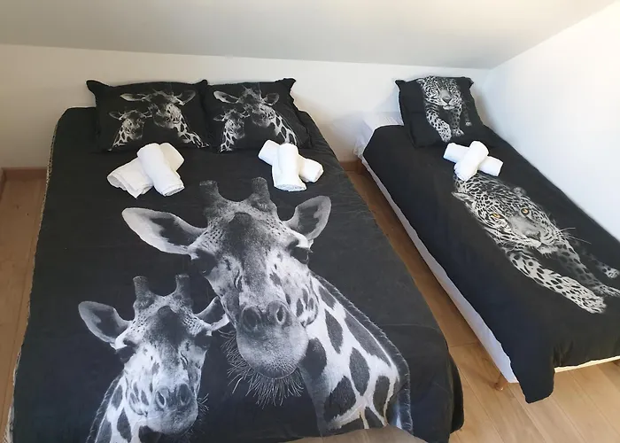Le Safari - Dormir Comme A La Maison